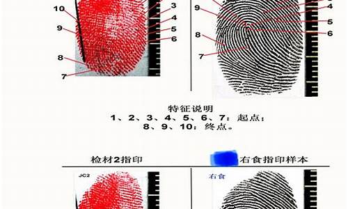 怎么鉴定指纹(怎么鉴定指纹是不是一个人的)