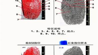 指纹鉴定报告(指纹鉴定报告模板)