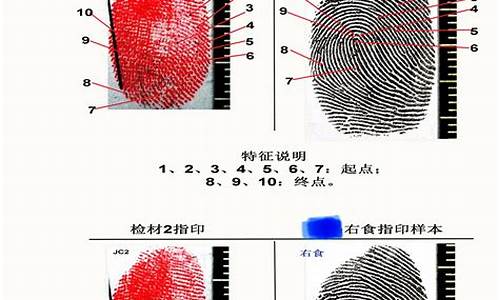 指纹鉴定报告(指纹鉴定报告会被造假吗)