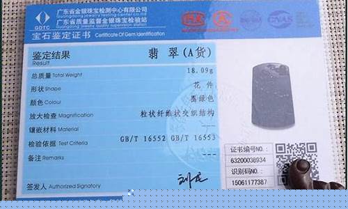 鉴定机构官网查询(鉴定机构官网查询平台)