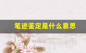 笔迹鉴定是什么意思(笔迹鉴定有几种鉴定方式)
