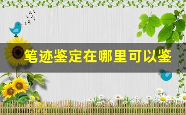笔迹鉴定在哪里可以鉴定(冒充签字可以立案吗)