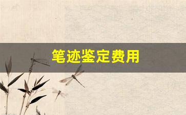 笔迹鉴定费用(笔迹鉴定费用收费标准)