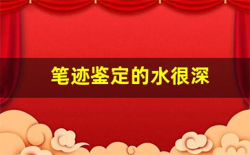 笔迹鉴定的水很深(笔迹鉴定软件)