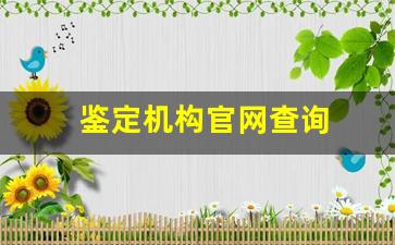 鉴定机构官网查询(鉴定所查询)