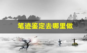 笔迹鉴定去哪里做(笔迹鉴定一个字多少钱)