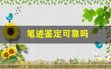 笔迹鉴定可靠吗(笔迹鉴定一个字多少钱)