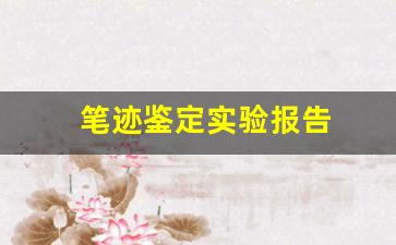 笔迹鉴定实验报告(笔迹鉴定实验报告检材)