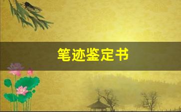 笔迹鉴定书(笔迹鉴定书写先后时间)
