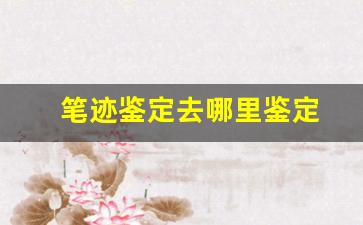 笔迹鉴定去哪里鉴定(笔迹鉴定可以鉴定出书写时间吗)