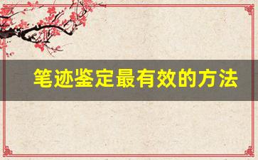笔迹鉴定最有效的方法(笔迹鉴定权威机构)
