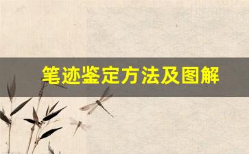 笔迹鉴定方法及图解(笔迹鉴定方法及图解视频)
