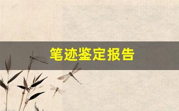 笔迹鉴定报告(笔迹鉴定报告模板)